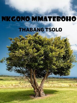 cover image of Nkgono Mmateboho